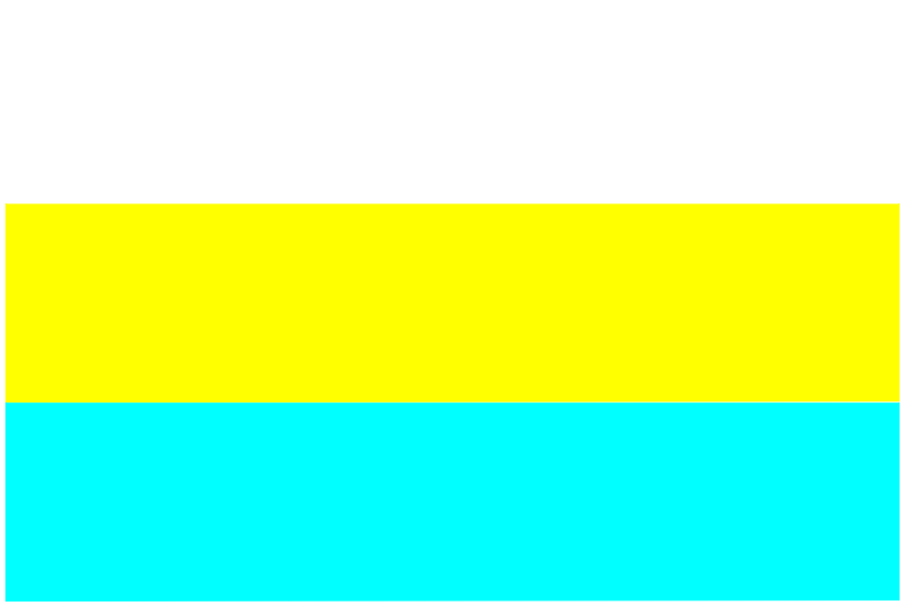 Как выглядит флаг желто синий