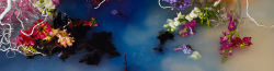 Site-logo.png