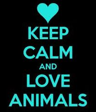 ANT Ava's Lpve Animals Poster