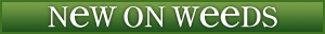 New-on-weeds-header.png