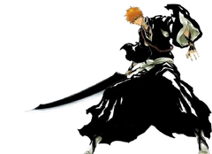 Ichigo after the timeskip.