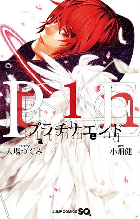 DEATH NOTE バクマン プラチナエンド 全巻 デスノート全巻＋関連本 バクマン プラチナエンド 大場つぐみ