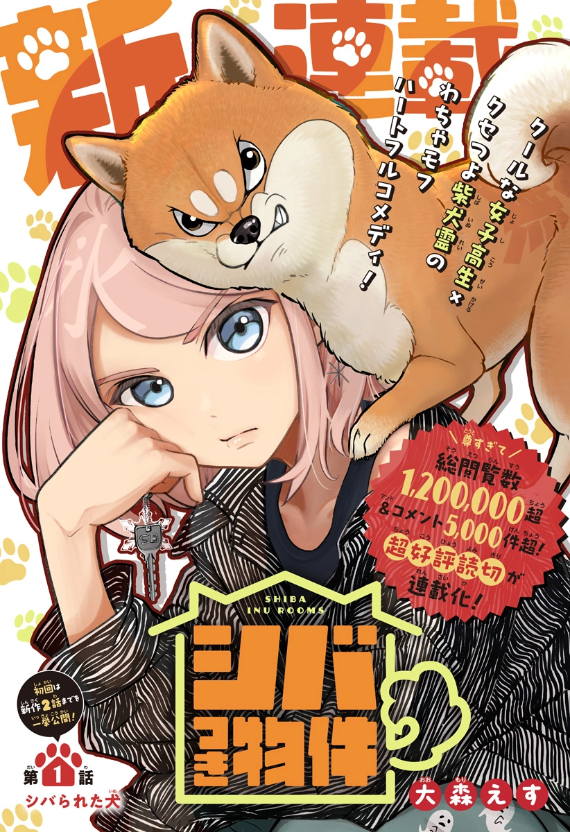 Shiba Inu Rooms Jump Database Fandom