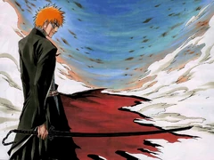 Zangetsu's Bankai: Tensa Zangetsu.