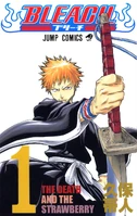 Bleach