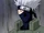 Kakashi Hatake