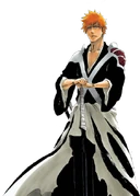 Ichigo's second Soul Reaper uniform.