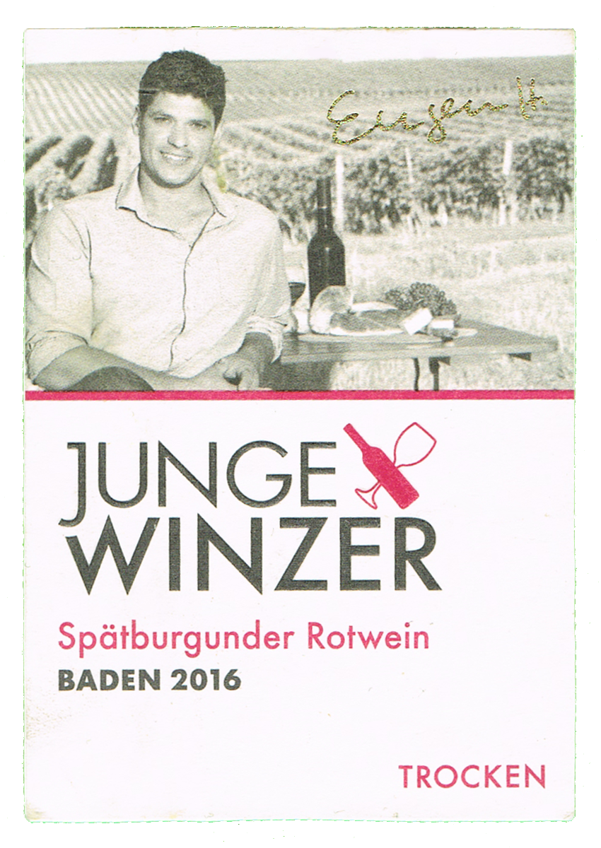 Junge Winzer Spätburgunder Rotwein | Wein Wiki | Fandom | 