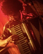 Daniel Radcliffe as Weird Al