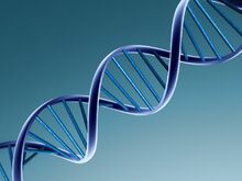 DNA.jpg