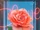 A Rose Smile