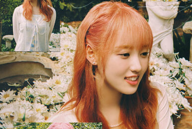 Hide and Seek | Weki Meki Wiki | Fandom