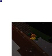 5th.jpg