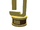 Programming Trophy