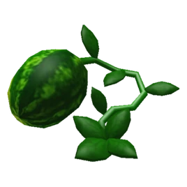 WatermelonPlant