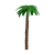 Coconut Palm Tree