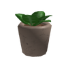 HumblePlant.png