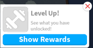 Level up message.