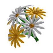 Daisy Bouquet