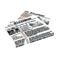 Newspaper