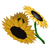 SunflowerBouquet