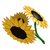 SunflowerBouquet.png