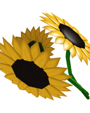 Sunflower Bouquet Welcome To Bloxburg Wikia Fandom - sun flower roblox