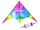 Winged Colorful Kite