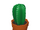 Cactus Plant