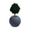 MiniSaplingPlant.png