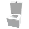 Tilt Toilet