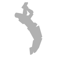 Backflip