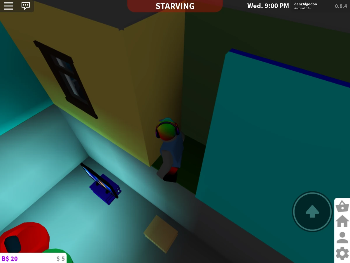 User blogDenz Algodoo/Build a cool basement! to Bloxburg