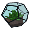 Geometric Terrarium.png