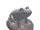 Concrete Frog