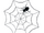Spider Web