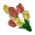 TulipBouquet