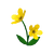 Flowers.png