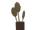 Cup of Spoons