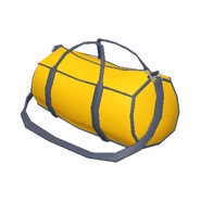 Gym Duffel Bag