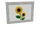 Basic Painting