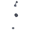 BasicShowerSet.png
