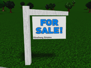 ForSaleSignPhysical.png (374 KB) The sign that appears on an empty House plot.
