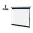 Drop Down Projector