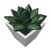 ModernSucculent.png