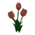 Tulips.png