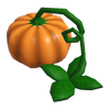 Pumpkin Plant.png