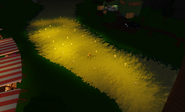 The river with floating lanterns in it for this event