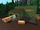 Lovely Lumber