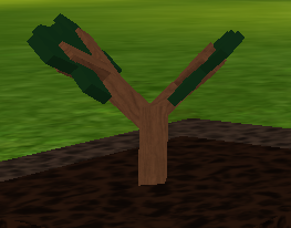 Rainbow Pepper Welcome To Farmtown Wiki Fandom - roblox farmtown giving tree